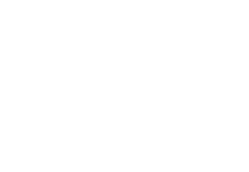 Sparebanken Norge - partner